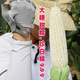 Wangyuan Xingzhen Bainuo 999 corn seeds extra large stick sweet glutinous big ear high yield white glutinous sticky spring and autumn corn bract seeds 500g can Zhenbainuo 999 10 cans