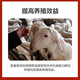 5% mutton sheep premix, Dabeinong core technology, rapid fattening, weight gain, skeleton nutrition, comprehensive authenticity guarantee, 1 pack, 50 Jin Jin is equal to 0.5 kg