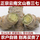 Sanqi authentic Yunnan Wenshan Chun Sanqi 20 heads 30 heads slippery heads 30 heads Special selection 30 heads with cutouts (500g) (send the whole) Please leave a message if you need to powder and slice it