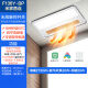 OPPLE high-power air heater bathroom heater bathroom heater integrated ceiling constant temperature F136