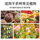 Stanley genuine fertilizer flow oil series nitrogen, phosphorus and potassium compound fertilizer green planting, fruit trees, flowers, aquatic agriculture general compound fertilizer three Jin Jin equal to 0.5 kg sub-package sample fertilizer flow oil 17