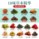 三绛茶 光岳楼汉方降三茶玉米须桑叶茶蒲公英青钱柳绞股蓝罗布麻 光岳楼三降茶2盒600克 60包