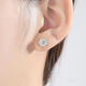 Fat Donglai's same style selection Pt950 platinum earrings for women snowflake diamond earrings versatile earrings birthday gift 50 points for love crowning a pair platinum moissanite