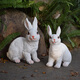 Chaosihui Outdoor Simulated Rabbit Animal Ornaments Lawn Garden Landscape Sculptures Villa Garden Courtyard Decorations Large Pair 32513-5+6