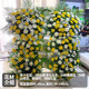 Flowers don’t tell the story of Chrysanthemums for Ching Ming Festival, Double Ninth Festival, Chrysanthemum Express, nationwide intra-city flower delivery, scheduled funeral wreaths, memorial tributes, JDHQ 15 models, 1 flower basket