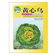 Yellow cabbage seeds, cold and wet-resistant, field garden planting, chrysanthemum heart cream, yellow cabbage vegetable seeds, standard, newly arrived, 1 pack, 1010 capsules