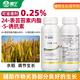 Haimiyou 24 epiphysin promotes cell division extension, improves chlorophyll balance, growth resistance and stress increase, 500g