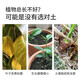 Dewoduo plant nutrient soil universal 100L gardening vegetable flower vegetable potted flower soil organic matrix planting soil