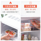 Camellia refrigerator storage box fruit crisper special kitchen plastic rectangular frozen food sealed lunch box 1050ML green