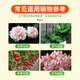 Garden Protector Garden Protector Potassium Dihydrogen Phosphate Fertilizer Flower Special Orchid Foliar Fertilizer Water-soluble Fertilizer Flower Fertilizer 9g/bottle (10 capsules)