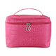 Internet celebrity cosmetic bag large capacity super popular portable portable cute female travel carry-on simple toiletry storage bag waterproof large size swan