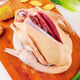 Large free-range duck, teal duck, native duck, whole shelduck, old duck, fresh ingredients, authentic farm duck meat, 7 Jin Jin is equal to 0.5 kilograms, the net weight of the native duck after killing is 5 Jin Jin, which is equal to 0.5 kilograms