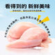 Baichan High-temperature Steamed Chicken Breast Cat Snacks Ready-to-eat Chicken Nutritional Fattening Pet for Kittens and Adults Krill Oil Chicken Breast 18 Bags First Choice for New Customers