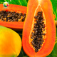 Nongzhi Hongfei Papaya Seeds Southern red-fleshed fruit Red Heart Hongfei Papaya Seeds 50 capsules