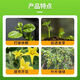 Zheng's Chemical 98% Sodium Nitrophenolate Original Powder Plant Growth Regulator Preserved Flower Fruit Pesticide Synergist to Promote Growth 5kg