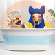 Dipur foldable pet dog bathtub cat bath special bathtub blue crab bathtub* bathtub bathtub (foldable)