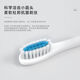 A&D Electric Toothbrush Fully Automatic Children Adult Rechargeable Soft-Bristled Waterproof Student Men's and Women's Home Simple White USB Cable Charger 8 Brush Heads Half-Year Replacement