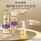 Pantene Three-Minute Miracle Essential Oil Camellia Flower Essence Oil 40ml Care for Dry Frizz, Smooth and Repair OCC