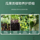 Phosphate Fertilizer Superphosphate Flower Fertilizer Vegetable Fertilizer Root Strengthening Fertilizer Soil Adjuster Fertilizer Vegetable Planting Agricultural Fertilizer Planting Flowers Phosphate Fertilizer High Concentration 30Jin Jin is equal to 0.5 kg