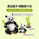 【9成新】乐高（LEGO）积木拼装31165 野生动物熊猫家族男孩女孩儿童玩具新年礼物