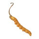 Beijing Tongrentang Raw Materials Official Store i flagship Cordyceps Cordyceps Cordyceps Head Period Authentic Cordyceps soaked in wine and whole grass dry goods to deliver gifts 2 1 gram Cordyceps King-level 1 [Vacuum packaging Lock essence][Gift 1
