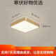 全铜户外吸顶灯别墅入户门灯走廊过道阳台灯露台防蚊虫庭 X3893-400/方形