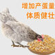 Factory direct sales 80 Jin Jin equals 0.5 kg layer hen feed for hens, egg laying broiler fattening pellets full price for nesting and breeding, 5 Jin Jin equals 0.5 kg layer hen feed