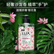 Lux Hand Sanitizer Fragrance Antibacterial Press-on Freesia Fragrance Gentle Moisturizing Care for Hands Cherry Blossom Fragrance Family Pack Two Fragrance Antibacterial Fragrance 400g*2 Bottles