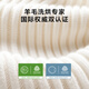 Little Swan (Little Swan) Xiaowumei 3.0 Washing and Drying Set 10KG Fully Automatic Drum Washing Machine + 10KG Frequency Inverter Heat Pump Dryer Pure Flat Fully Inlaid First-level Energy Efficiency Pure Flat Fully Inlaid TG10VE40+TH10VE40