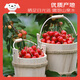 Jingxiansheng Domestic Cherry Cherries J Grade 1Jin Jin is equal to 0.5kg, single fruit 8g, fresh fruit, sweet and sour taste