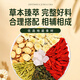 Juxiutang honeysuckle chrysanthemum tea fetus wolfberry soaked in water for health tea herbal tea bag 300g (6g50 packs)