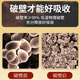 Qin Dingtai Changbai La pared de ruptura de la montaña Ganoderma Lucidum Spore Powder 2G*40 bolsas/caja para mejorar los productos de salud de inmunidad para el polvo de túnica de mediana edad y ancianos 80 gramos de pared rota Ganoderma Lucidum Spore Powder (5 cajas)