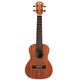 Tom Ukulele adult children beginner 26-inch mahogany veneer T5SE electric box classic version small guitar