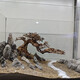 Finished fish tank landscaping Moss tree to welcome guests, pine tree-shaped Brazilian tree, deadwood, negative aquatic plants, novice package, must read before purchasing