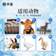 Huazhu Wenlikang chicken, duck, goose, pigeon, quail, poultry breeding feed additives, pigeon medicine, bird food and chicken medicine 3 bottles of Wenlikang