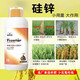 Silicon zinc fertilizer foliar fertilizer for wheat, rice and corn to increase yield, resist lodging and promote tillering, general water-soluble fertilizer for fruit trees and vegetables, Australian brand 1550g*12 bottles