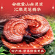 Tongrentang Ganoderma Lucidum Astragalus American Ginseng 350G El regalo de año nuevo se puede combinar con la pared rota Ganoderma Lucidum Spore en polvo para mejorar la inmunidad