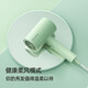 博锐飞科高速电吹风机家用负离子护发大风力速干低噪轻音便携式宿舍学生用不伤发吹风筒 飞科吹风机FH6296不可折叠 1800W绿色