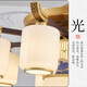 Handisi nuevo candelabro chino lámpara de techo lámpara de ventilador de hierro
