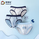 Inbolen boys pure cotton Lycra briefs children's shorts 10343 Underwater World 3 pairs 170