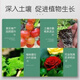 Compound Fertilizer 18-18-18 Compound Fertilizer Vegetables and Fruits in Popcorn 10kg 20Jin Jin is equal to 0.5kg / original packaging 5kg per bag Original packaging 5kg per bag