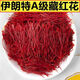 
Beijing Tongrentang [Extra-grade filament saffron] Iranian saffron gift box packed with tweezers for parents [Extra-grade] Iran imported special filament [Extra-grade filament 10 grams] gift box packed