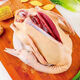Large free-range duck, teal duck, native duck, whole shelduck, old duck, fresh ingredients, authentic farm duck meat, 7 Jin Jin is equal to 0.5 kilograms, the net weight of the native duck after killing is 5 Jin Jin, which is equal to 0.5 kilograms