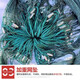 Guangtai 1-finger, 2-finger, 3-finger, 4-finger drag net, drag net, drag net, clear pond fishing net, partition net, fish net, 15 strands, mesh, 5 fingers, 3 meters high, 30 meters long, unfolded height is 2.1 meters