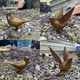 Outdoor stainless steel bronze pigeon sculpture bird zoo forest sales office landscape ornaments lawn decorations with wings bronze 30*18*24
