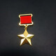 Octagonal Rose CCCP Russian World War II Socialist Labor Hero Soviet Medal Labor Star Medal Type A