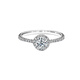 Pt950 Platinum Moissanite Ring Women's One Carat Round Bag Couple Ring Proposal Wedding Diamond Ring for Wife Light Luxury Round Bag Main Diamond 50 Points No. 17