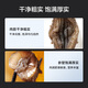 Made in Tokyo, Dalian organic fresh sea cucumber 1kg 16-20 pieces, solid content not less than 75%, ready-to-eat sea cucumber gift box