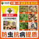 兆如丰土豆晚疫病专用拌种剂防病抗菌防虫高产提高出芽率生根壮苗肥料 400克*1袋【小包装】