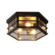 
Opple lighting retro ceiling lamp restaurant balcony bar cafe industrial aisle glass lamp Guangdong Zhongshan lamp 9928 small (surf style 6 Wadi
